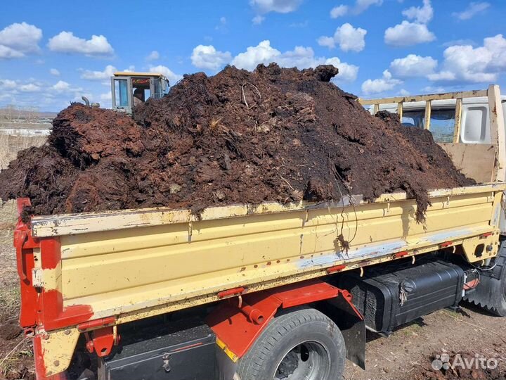 Чернозем перегной земля