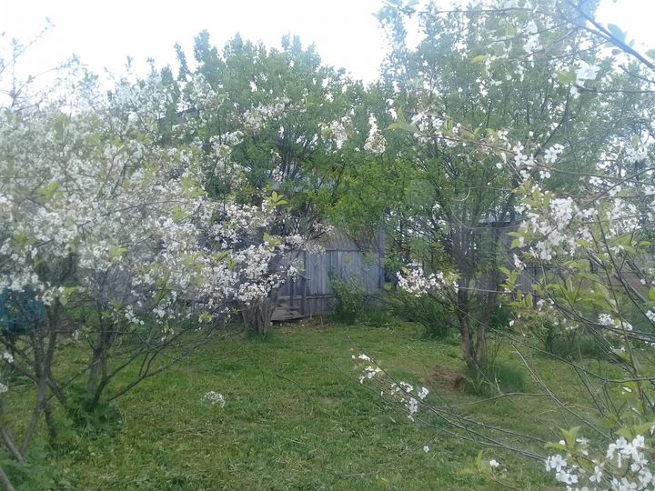 Дача 36 м² на участке 15 сот.
