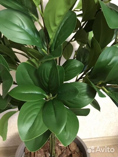 Дерево Фикус Пальма искусственные цветы Икеа