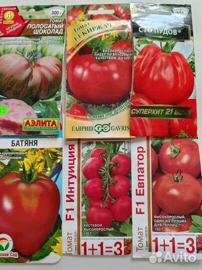 Рассада помидор