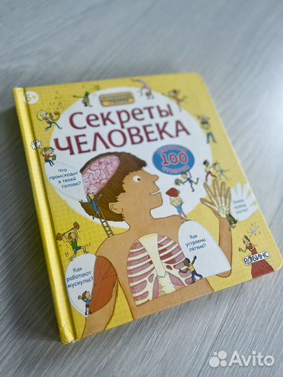 Секреты человека. Секретные створки