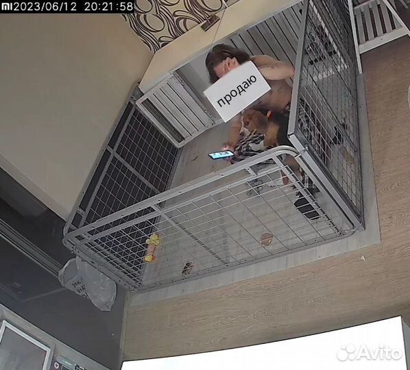 Ограждение, вольер для собак