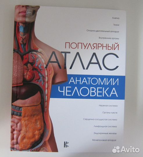 Популярный атлас анатомии человека