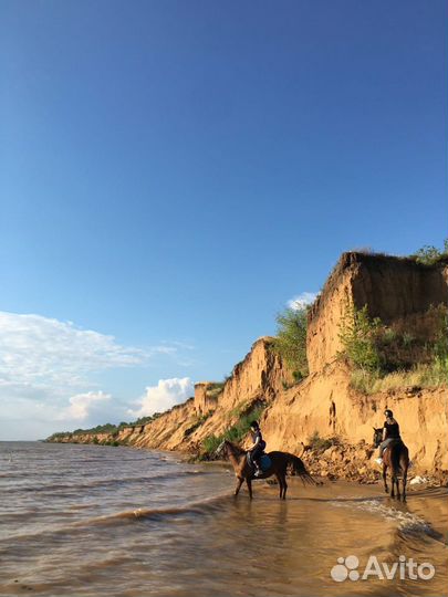 Прогулки верхом круглый год
