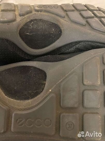 Кроссовки ecco оригинал