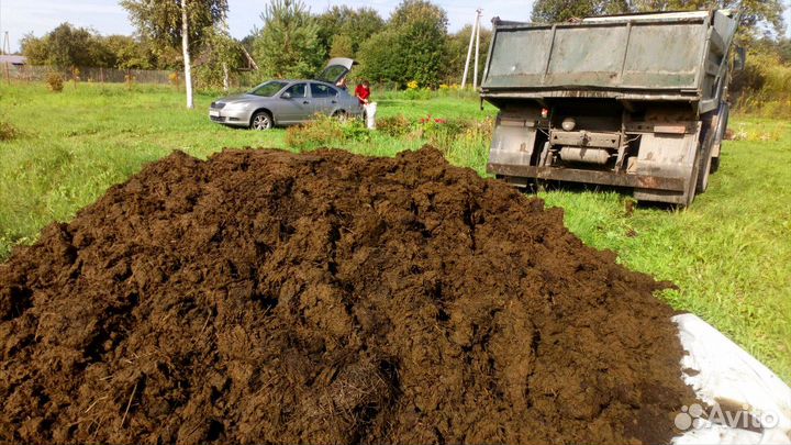 Навоз Коровий