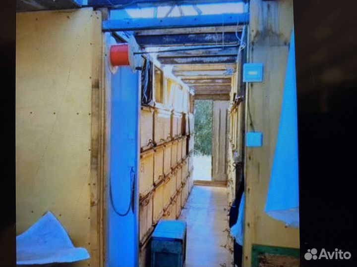 Хобби для пчеловодов (павльон пчеловодческий)