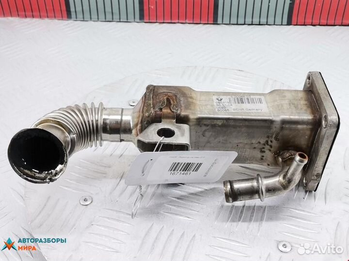 Охладитель EGR / Радиатор EGR Renault Megane