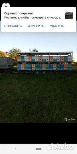 Прицеп пчеловоз, 2018