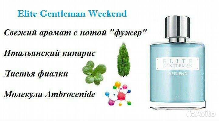 Elite Gentleman Avon