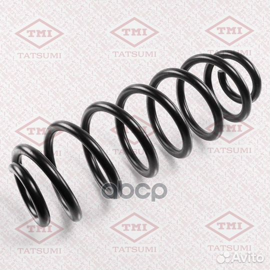 Пружина задняя VW Passat/Tiguan 05- TAE1017