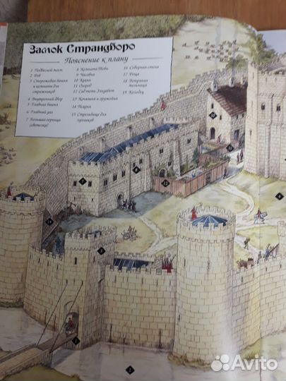 Дневник пажа. Записки Тобиаса Бургесса