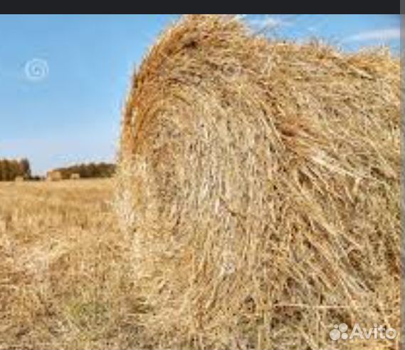 Солома в рулонах