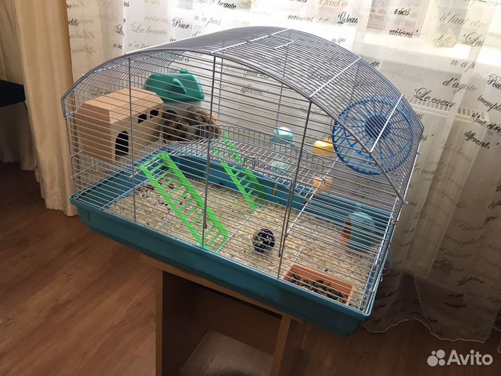 Клетка для сирийского хомяка