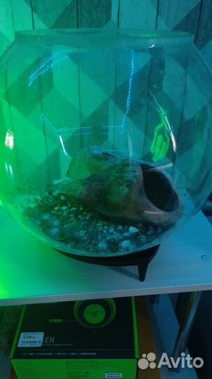 Аквариум