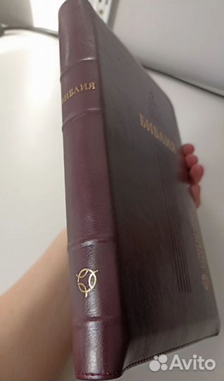 Библия на молнии. Современный русский перевод