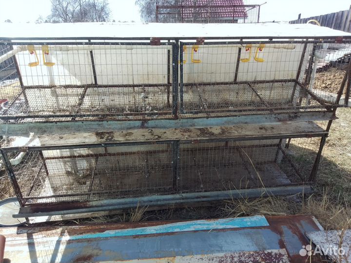 Клетки для несушек