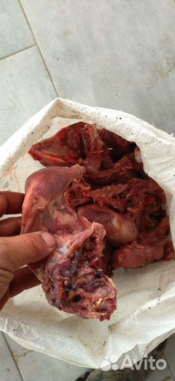 Мясо для собак