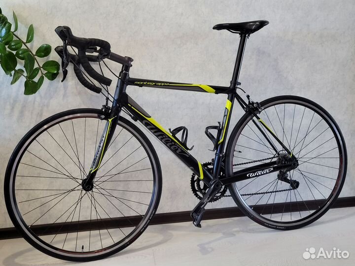 Wilier triestina montegrappa sora