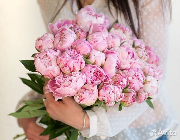 Пионы, букет из пион, цветы, доставка Брянск