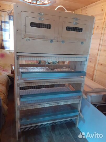 Мини ферма для перепелов