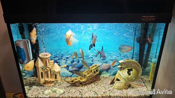 Готовый Аквариум