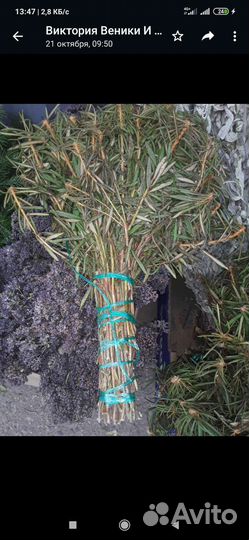 Набор веников и трав для бани мужской