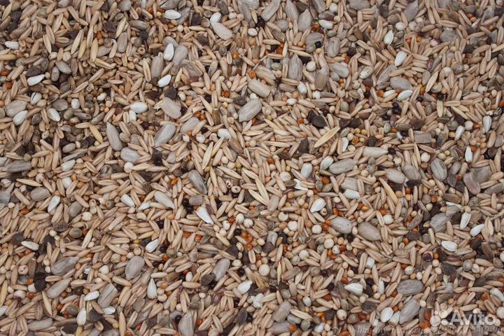 Корм для попугая