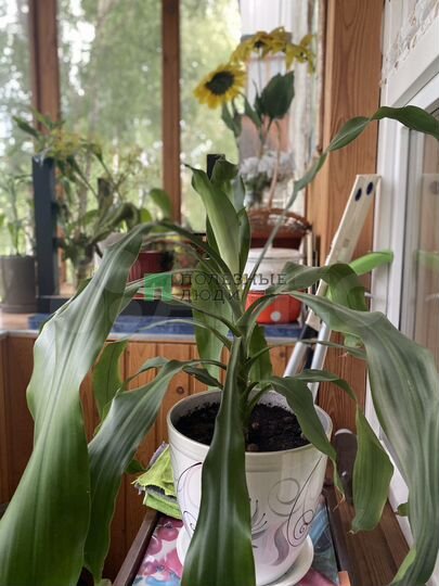 2-к. квартира, 43,5 м², 3/5 эт.