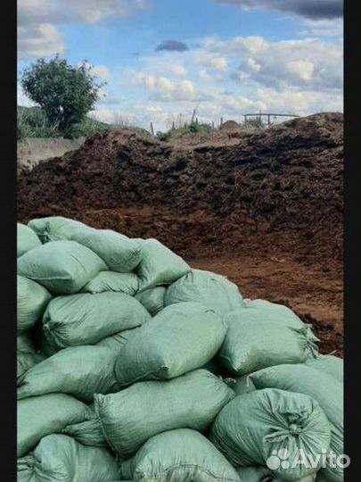 Перегной навоз