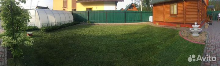 Продажа газона элитный