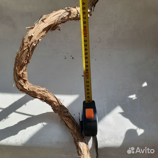 Коряга виноградная лоза в террариум