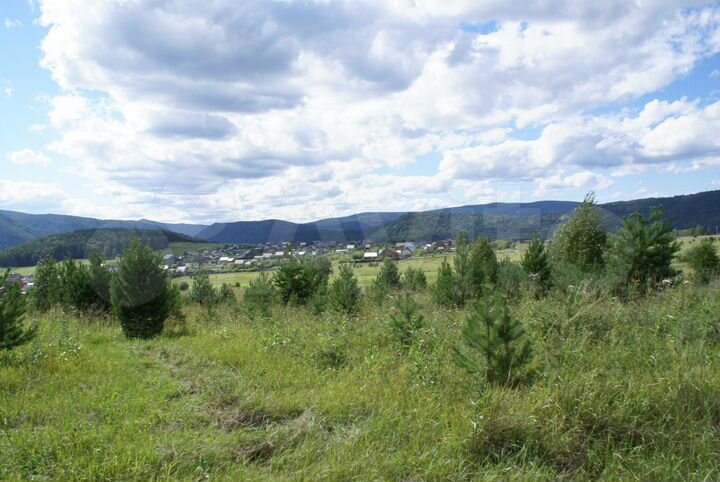 Участок 12 сот. (СНТ, ДНП)