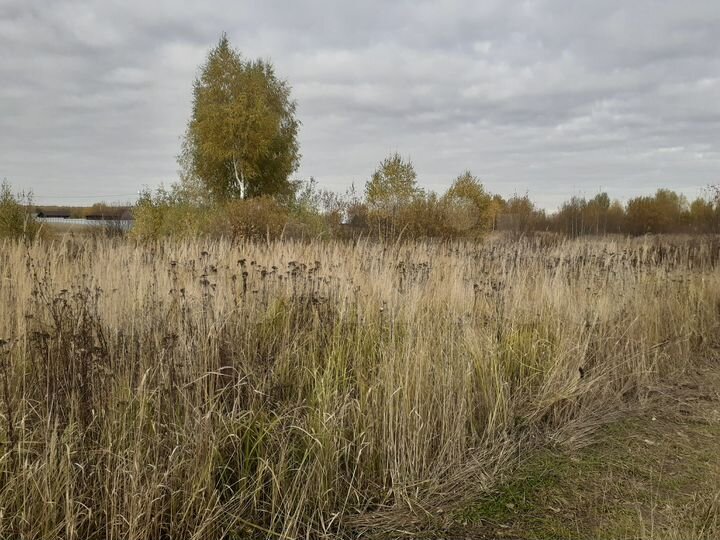 Участок 30 сот. (ИЖС)