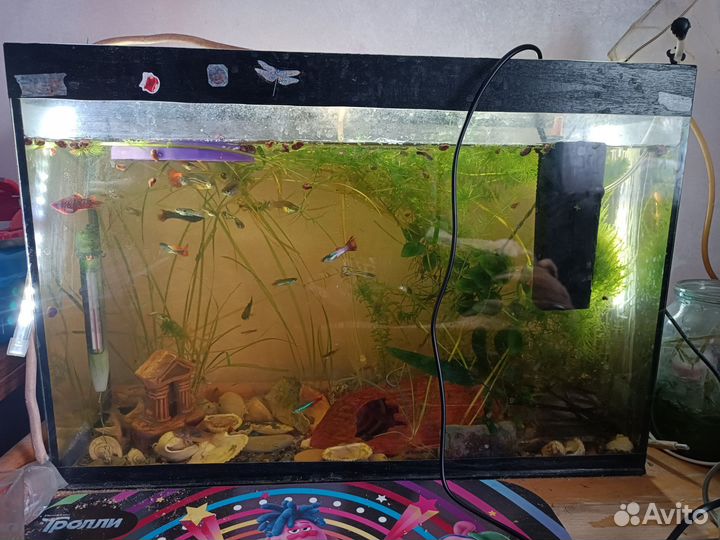Аквариум