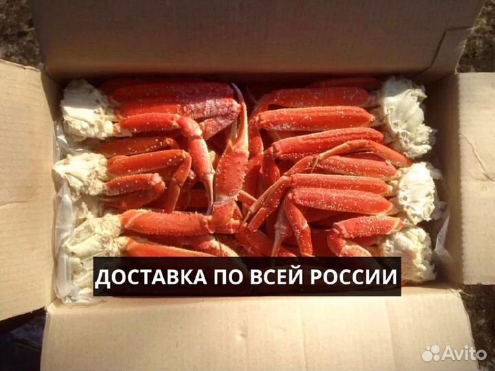 Конечности краба стригуна