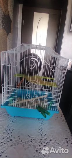 Клетка для грызунов