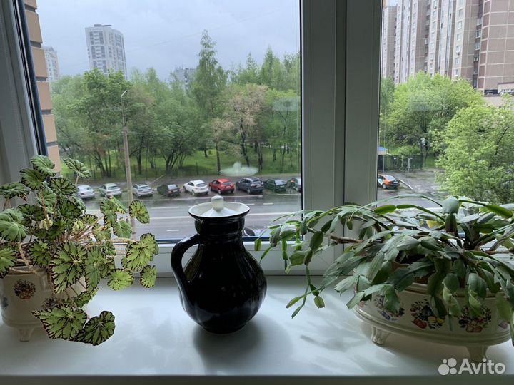 Глиняный кувшин и кофейный набор