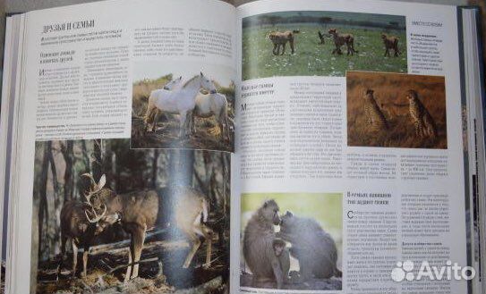 Книги Ридерз Дайджест новые