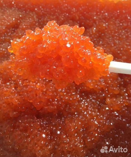 Икра красная горбуша