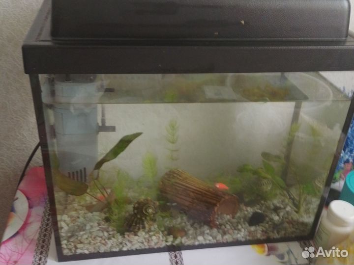 Аквариум