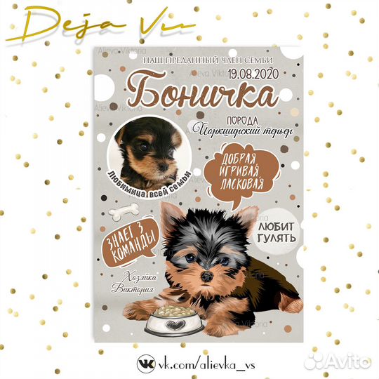 Метрика для питомца