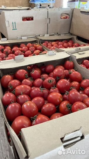 Помидоры сливка