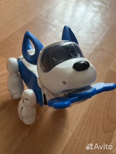 Интерактивная собака