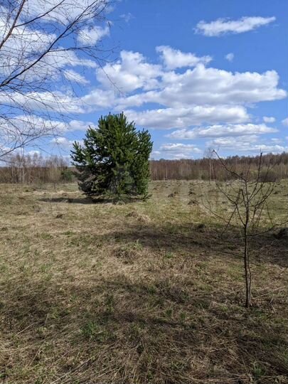 Участок 32 га (ИЖС)