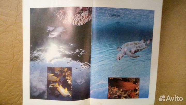 Биология и анатомия.Энциклопедия школьника