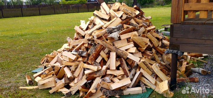 Дрова Осина навалом