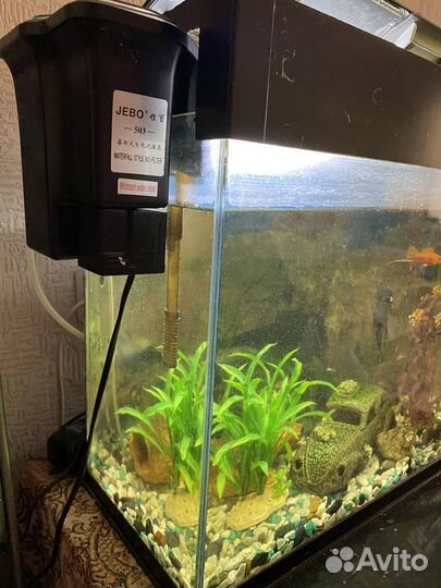 Продам аквариум