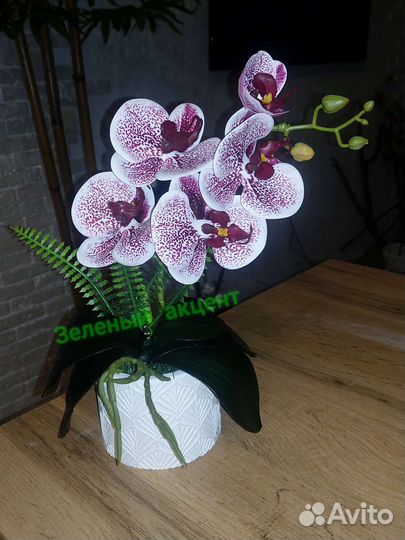 Орхидеи