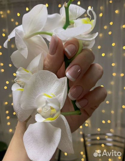 Штамп для стемпинга новый